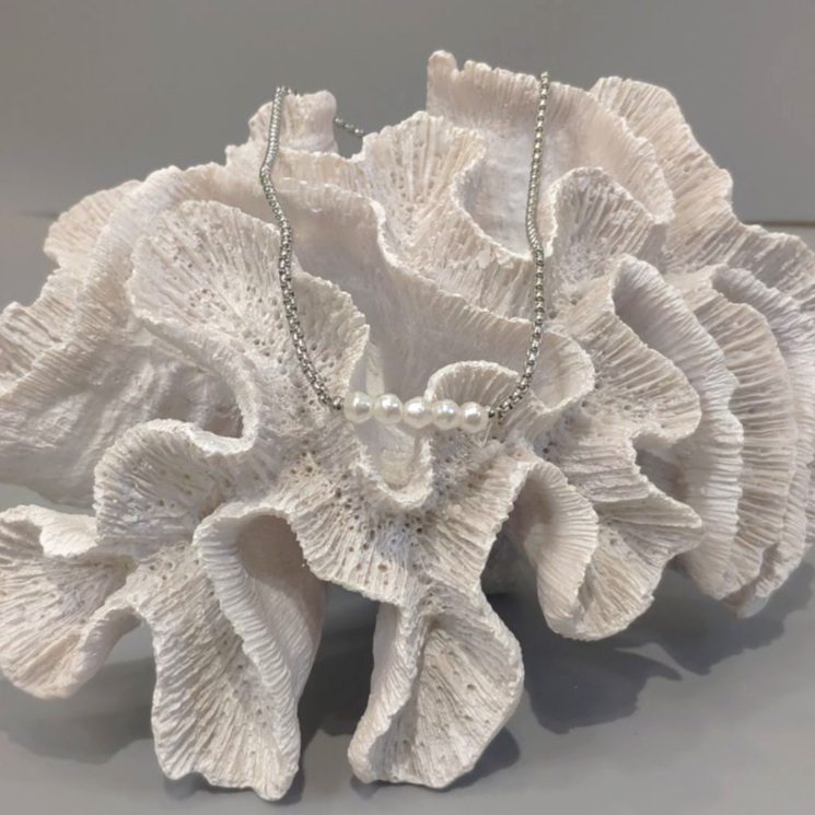 Ασημένια χοντρή αλυσίδα με πέρλες